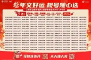 日照车牌靓号，价格之谜：背后故事