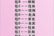 广西车牌大：盘点那些独具特色的靓号车牌！