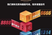 株洲车牌靓号：价格之谜背后的故事