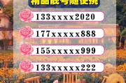 内江车牌靓号抢购热潮，绝版靓号等你来拿！