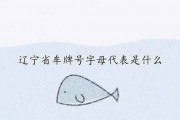 辽宁车牌号字母排序：探秘辽宁车界新潮流！