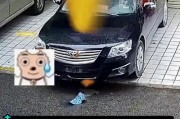 车牌掉落也能畅行无阻？未悬挂车牌上路真相！