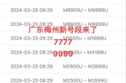梅州车牌靓号抢购，电话热线开启，机遇不容错过