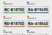 车牌千变万化，折射社会万象