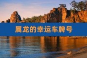 属龙的你，这些车牌号最吉祥！