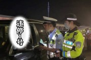 外地车牌上高架，上海交警严查违停