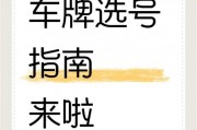 互联网时代新潮流：自定义车牌号，你的专属个性标识来袭！