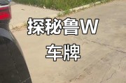 车牌209102爆火网络，背后故事引人关注！
