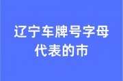沈阳车牌辽A00001亮相，开启城市尊贵传奇之旅