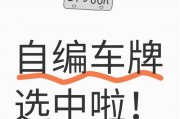 宁波车牌靓号申请攻略：如何轻松拥有一张心仪的车牌