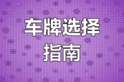 遥控电磁车牌价格大：性价比之选，你值得拥有！