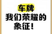 企业风采彰显，个人荣耀并驾——双重车牌诠释社会活力