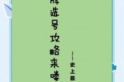 保定车牌靓号代办，轻松拥有专属车牌！