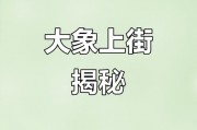 云南车牌大象图案走红，大象文化魅力引关注