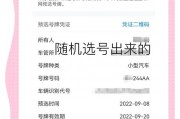 12123车牌新选择，车牌号码抢鲜曝光！