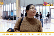 一键查询，靓号车牌快递动态，让您轻松追踪快递进度！”