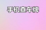 兴宁车牌靓号一网打尽，轻松查询，抢购心仪车牌！