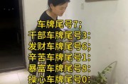 车牌尾号0：神秘魅力还是尴尬困扰？车牌号码背后的热议话题