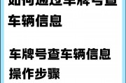 车牌审核通过？教你一招快速查询方法！