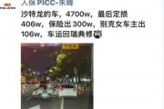 武汉W牌号豪车闪耀街头，引发全民热议！
