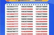 株洲车牌靓号轻松代办，热门电话一触即达！