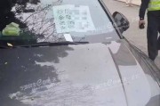 伪造变造车牌司机被拘留，交通法规不容挑战！