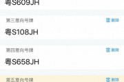 东莞车牌靓号挑选攻略：如何一眼锁定心仪号码？
