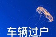 外地车主速看：武汉车牌获取攻略全