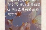 车牌传奇：3457，背后的故事与神秘魅力