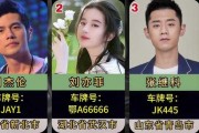 临沂孙军车牌靓号：车牌中的明星