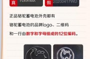 电瓶车牌照真假之谜：如何辨别真伪？