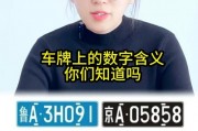 车牌号787：隐藏在数字背后的神秘故事