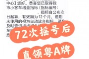 梅州车牌摇号靓号，流程中的惊喜与期待