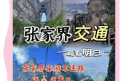 张家界车牌靓号引关注，车主喜提独特出行身份！”