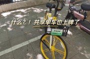 误打车牌号，保险单车成网红！