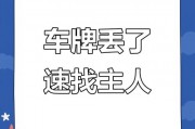 车牌不翼而飞，车主急寻解决方案！