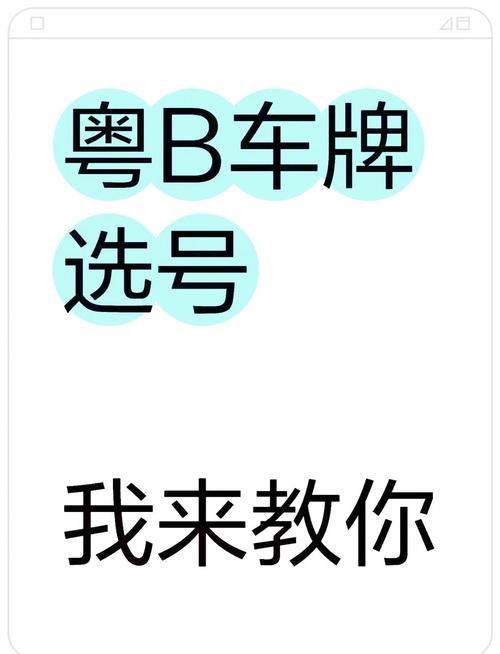 东莞车牌靓号,传世之选,待君品鉴