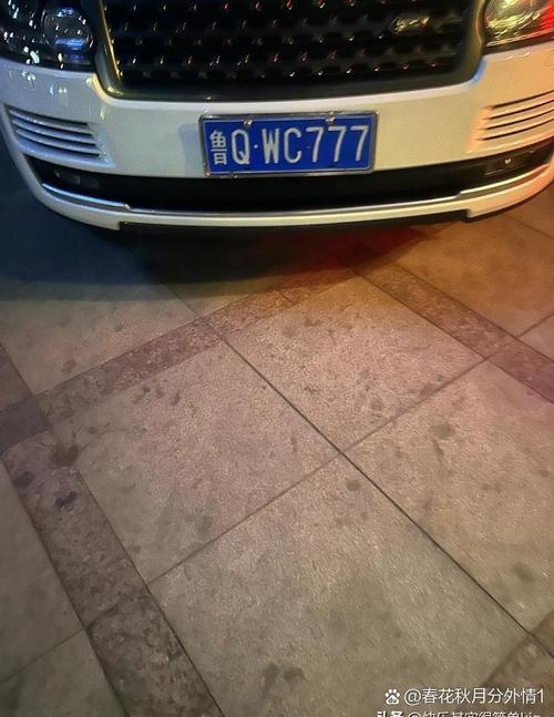 奇趣车牌大:4的奇幻之旅,看看你的车牌里藏有惊喜吗?