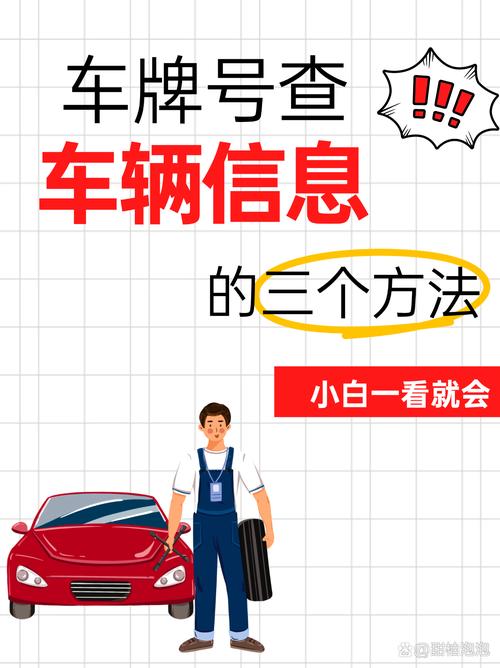 车管所独家创意,车牌号焕新登场,热门车型抢先体验!