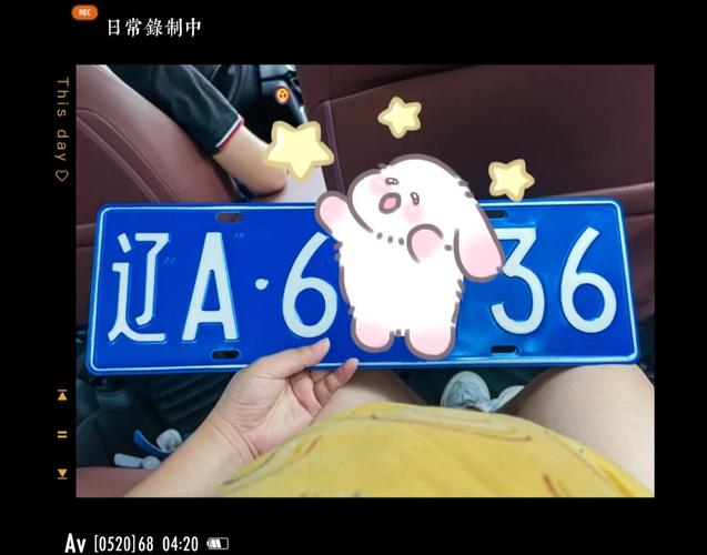 车管所独家创意,车牌号焕新登场,热门车型抢先体验!