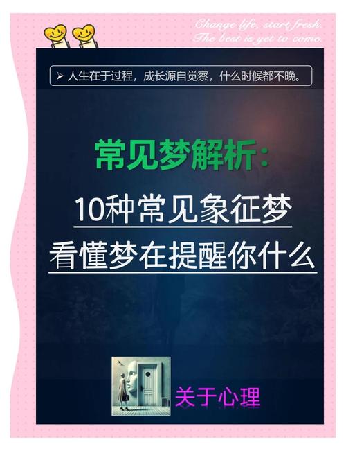 梦境奇缘:我梦到拍下车牌靓号的神奇经历