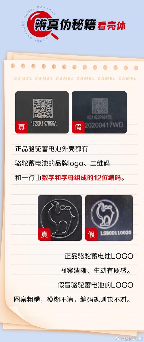 电瓶车牌照真假之谜:如何辨别真伪?