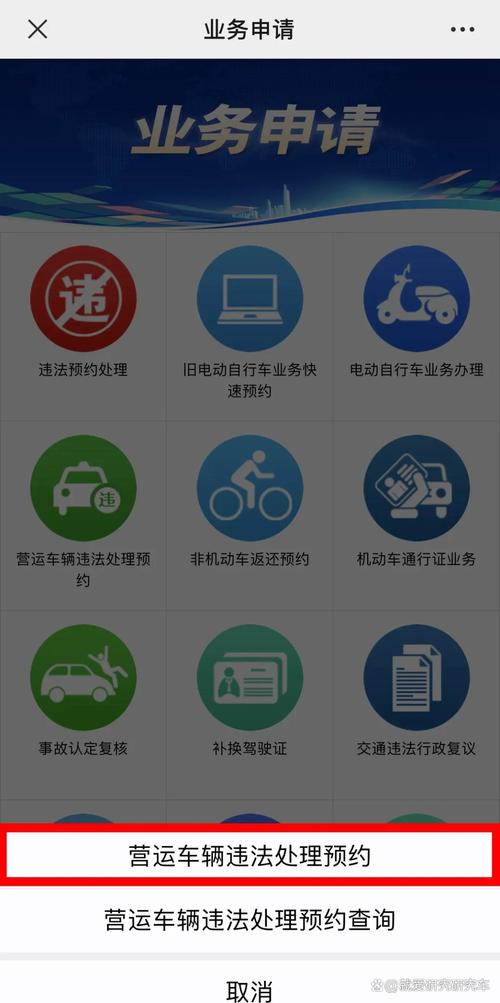 互联网时代新潮流:自定义车牌号,你的专属个性标识来袭!