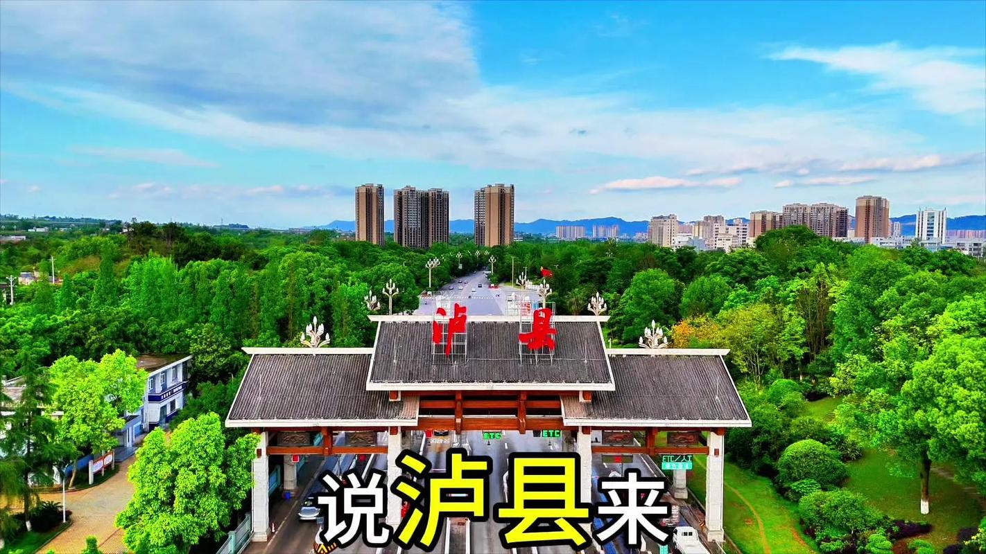 泸车牌照:探寻属于泸州这座城市的独特标识