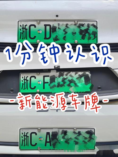 车牌号码的寿命:车牌保存年限之谜