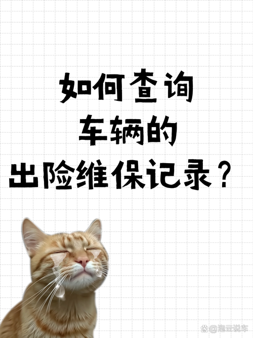 车牌一扫,保险公司信息立知!轻松查询,理赔无忧