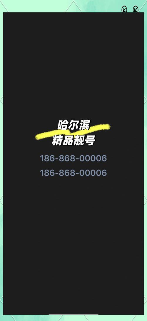 冰城车牌魅力绽放:哈尔滨靓号车牌,独特编号等你来寻