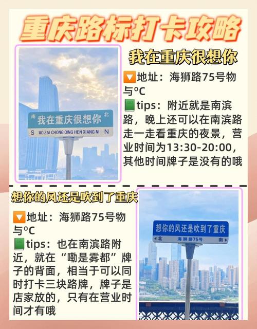 探秘渝牌魅力:重庆独特车牌背后的故事