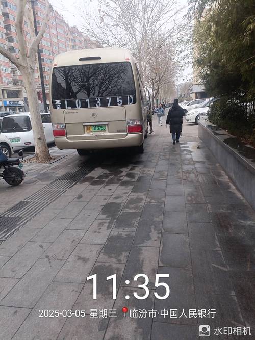 临汾车牌666号,闪耀城市街头