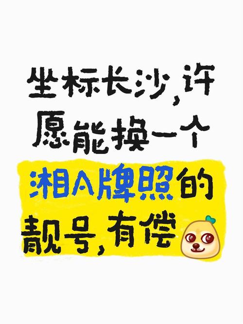 长沙车牌靓号价格飙升:热门靓号一号难求